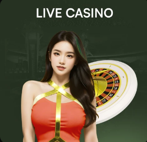 步调一致，辽宁两队铁人、英博开局两连败，随后两连胜